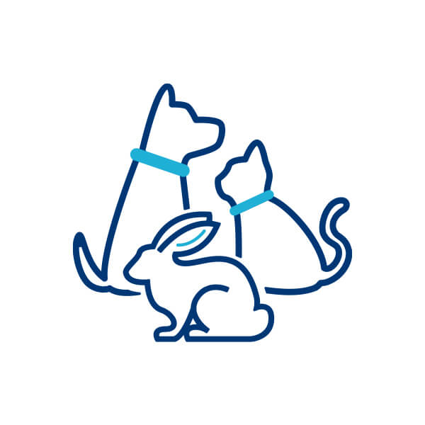 Animali