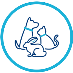 icon-pet