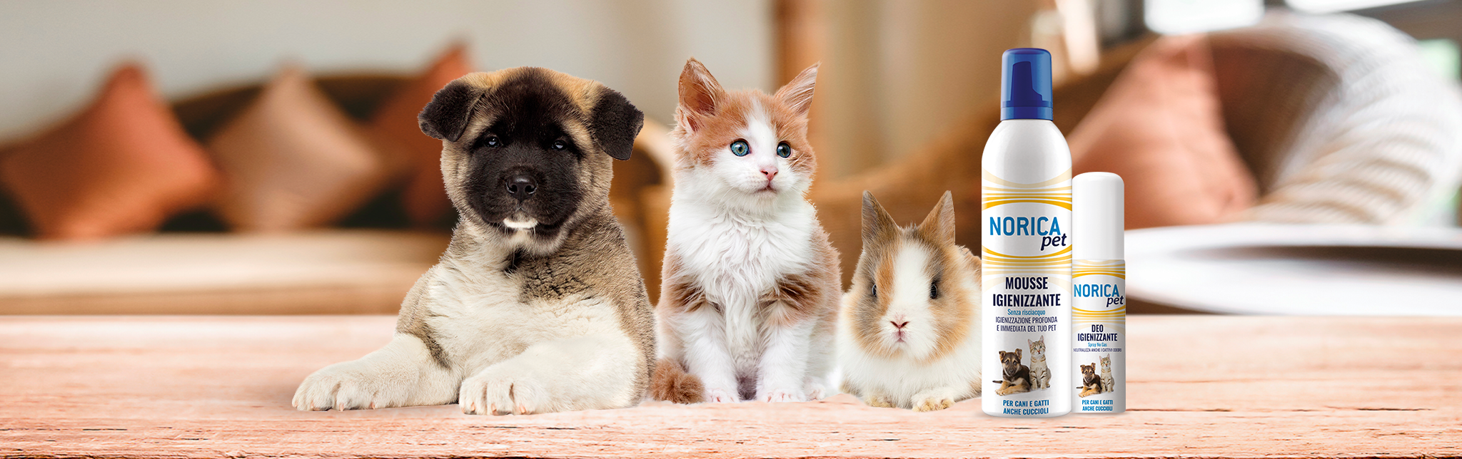 Animali