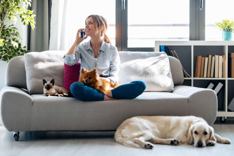 Toelettatura di cani e gatti: perché e come igienizzare il pelo del nostro pet